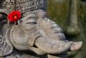 Bali indonesia elephants sculpture